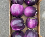 Melanzane Viola