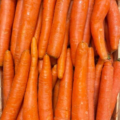 carote arancioni