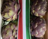 carciofi romaneschi