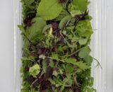 Insalata Misticanza Aromatica