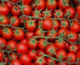 Pomodori Ciliegino Pachino