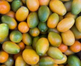 Mandarini Cinesi