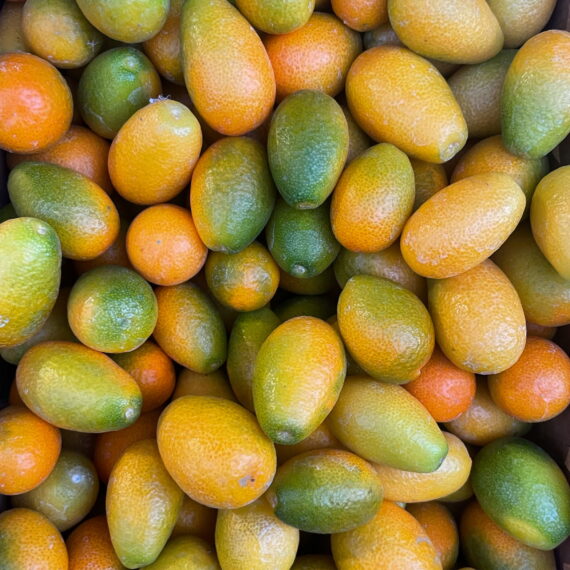 Mandarini Cinesi