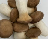 Funghi Cardoncelli